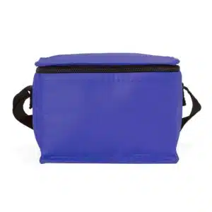 Bolsa Térmica Personalizada TNT 4L