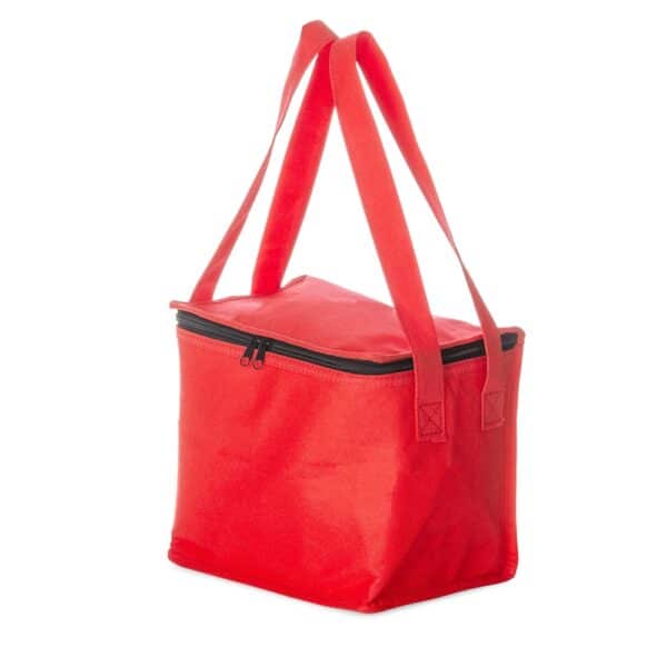 Bolsa Térmica Personalizada TNT 10L