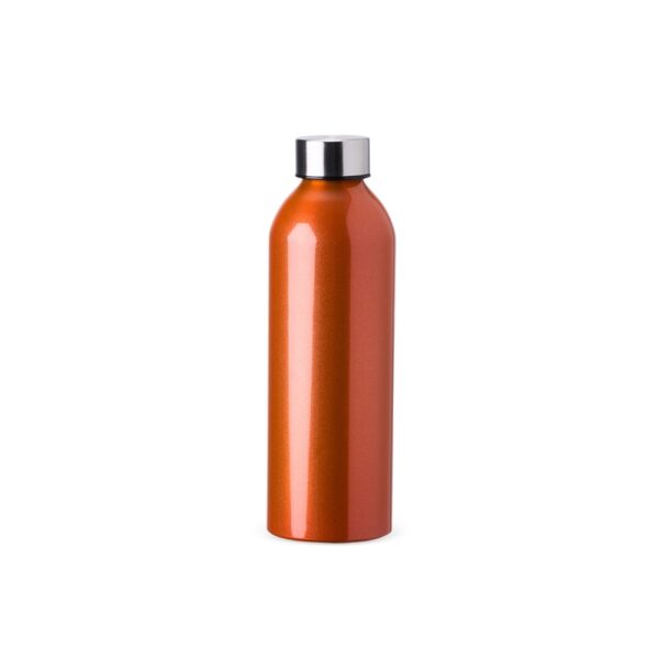 Garrafa Personalizada Alumínio 800ml C