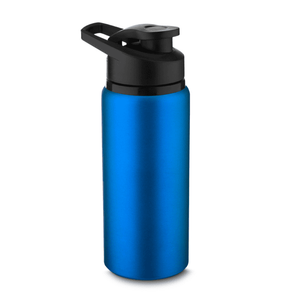 Garrafa inox 650ml gravação a laser brinde executivo