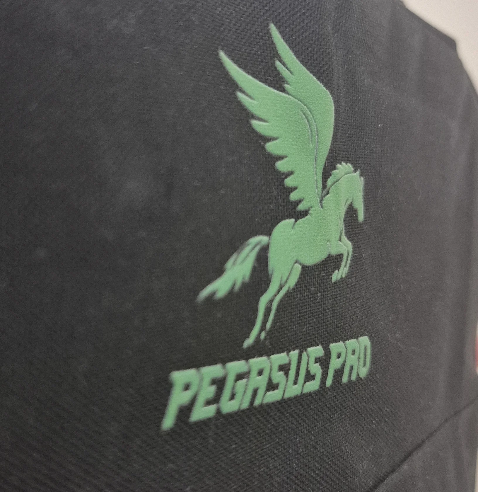 Transfer personalizado — Pegasus Pro
